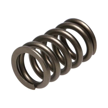 Manley Performance Manley Valve Spring, SPRING-NISSAN PATROL TB48