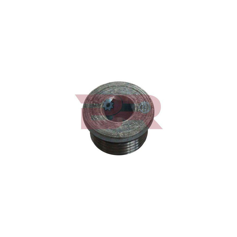 Botto Ricambi Brst7115 Screw Plug