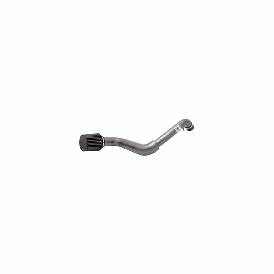 AEM 24-6001C Dual Chamber Intake System