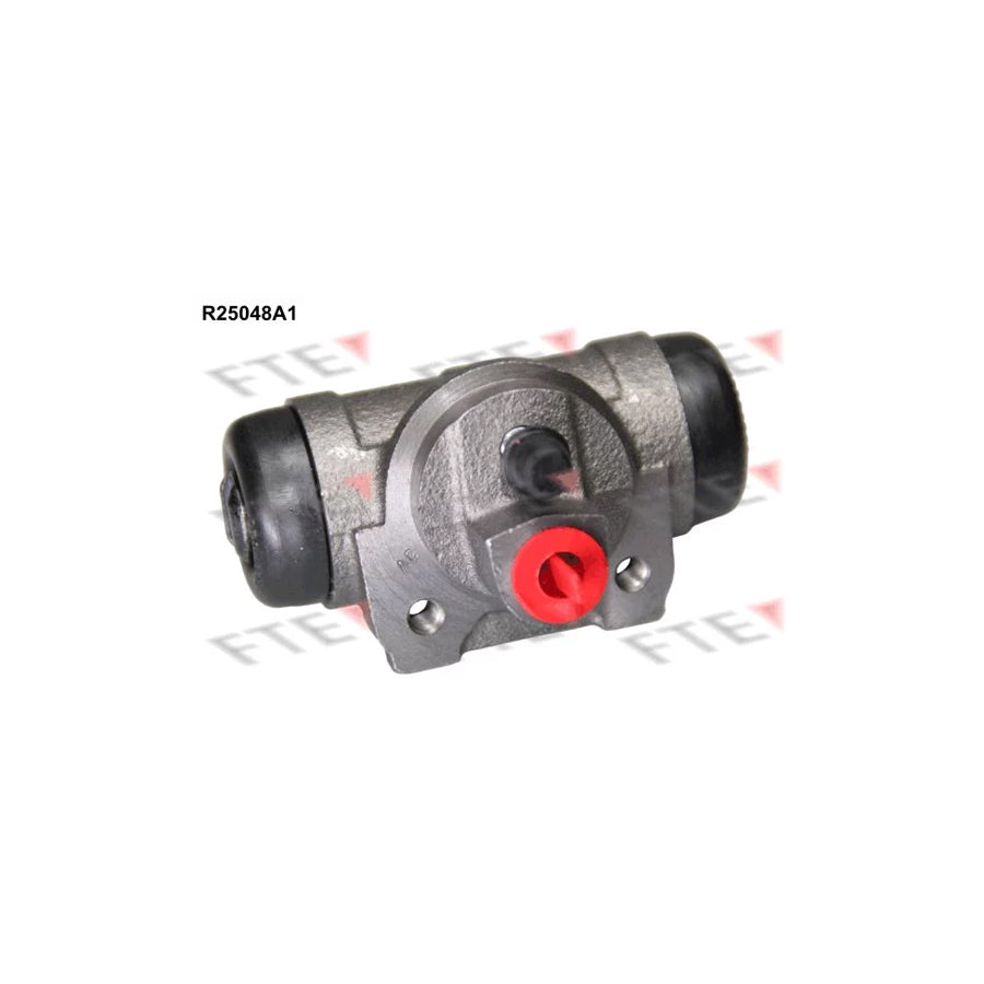 FTE 9210273 Wheel Brake Cylinder for Ford Transit