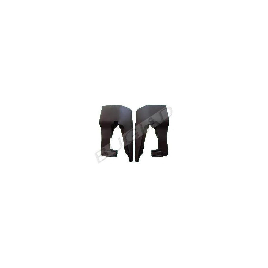 BUGIAD Bsp22071 Mudflap