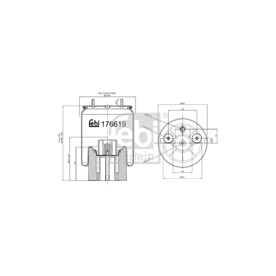 Febi Bilstein 176619 Boot, Air Suspension