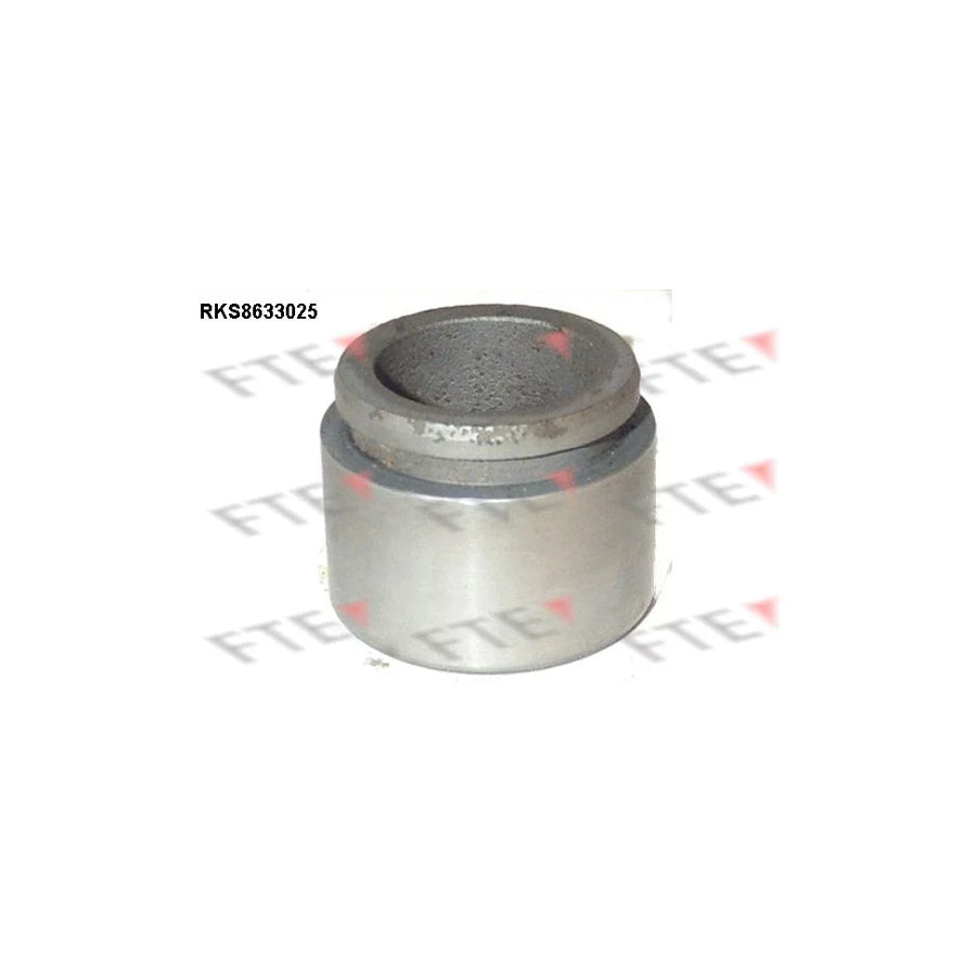 FTE 9313278 Piston, Brake Caliper