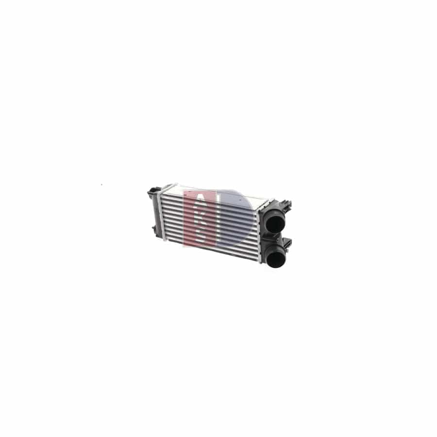 AKS Dasis 213050N Engine Radiator
