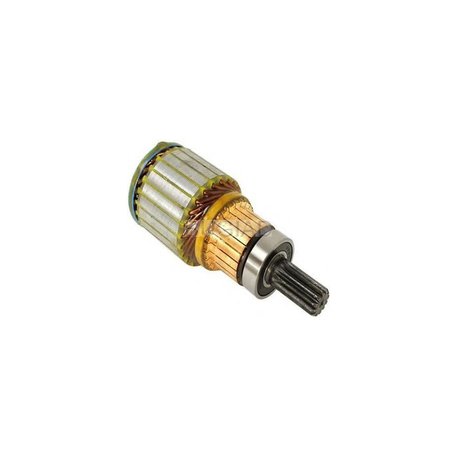BUGIAD Bsp22090 Anchor