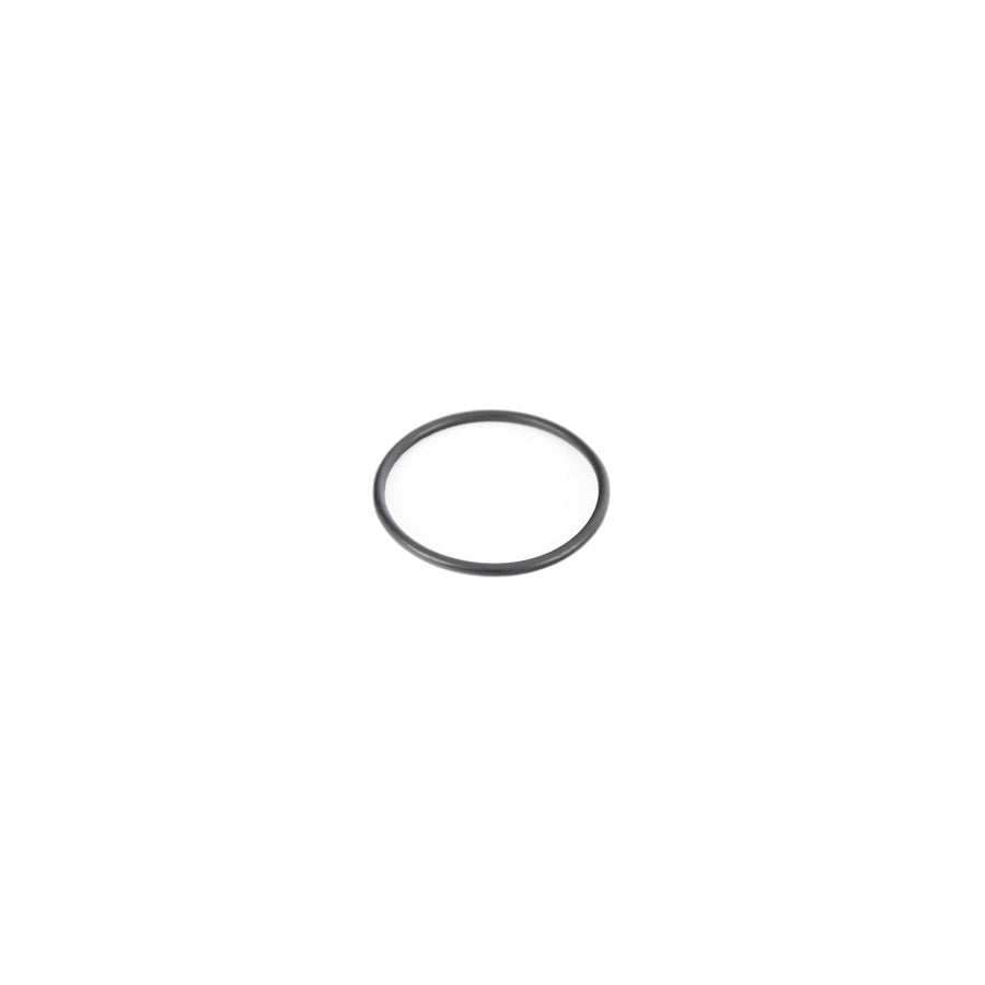 Genuine BMW 27107540777 E53 O-Ring (Inc. X5 3.0d) | ML Performance US Car Parts