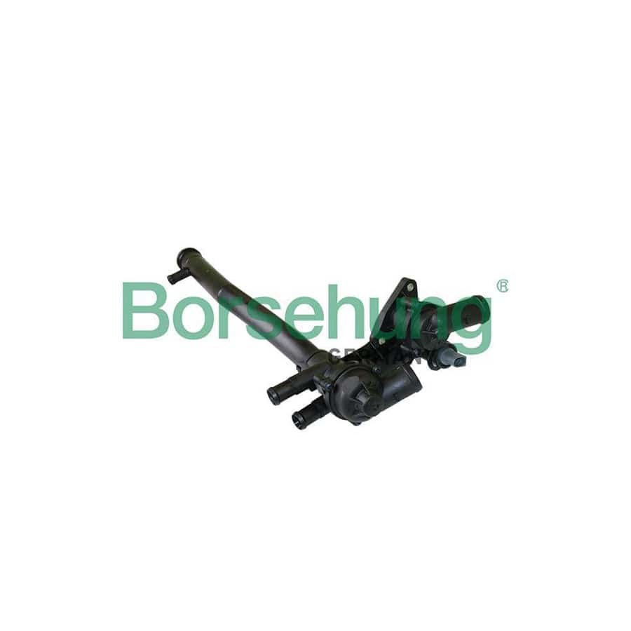 Borsehung B19087 Engine Thermostat