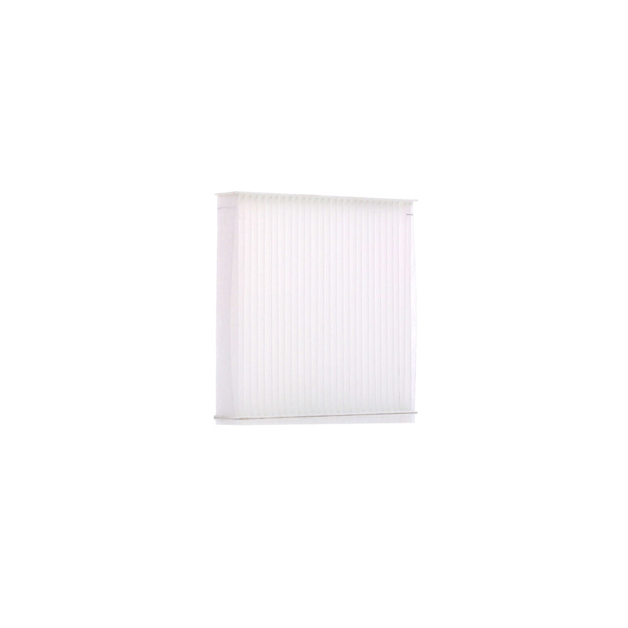 Dr!Ve+ DP1110.12.0394 Pollen Filter