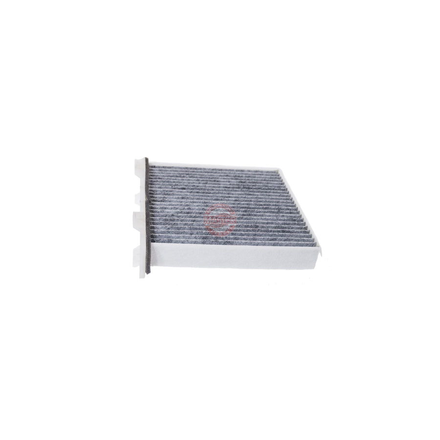 Master Sport 2230-IF-PCS-MS Pollen Filter