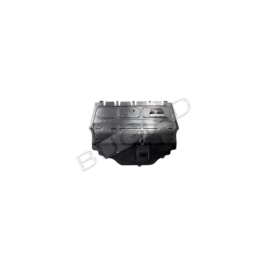 BUGIAD Bsp20505 Silencing Material, Engine Bay