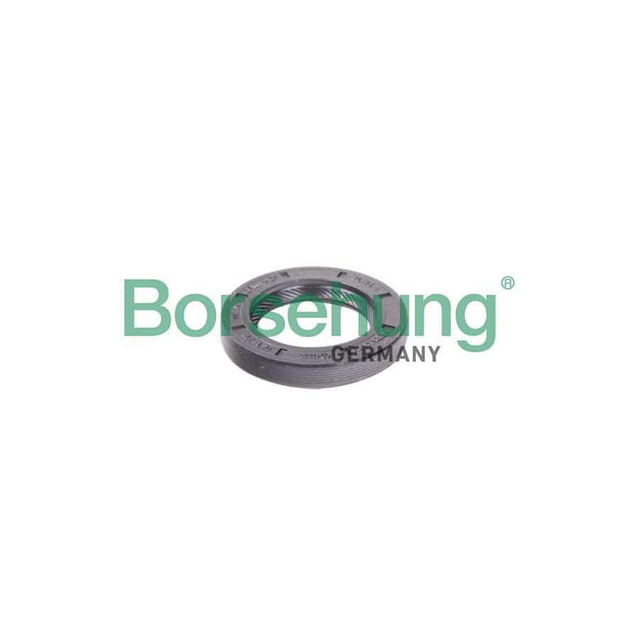 Borsehung B12191 Shaft Seal, Manual Transmission