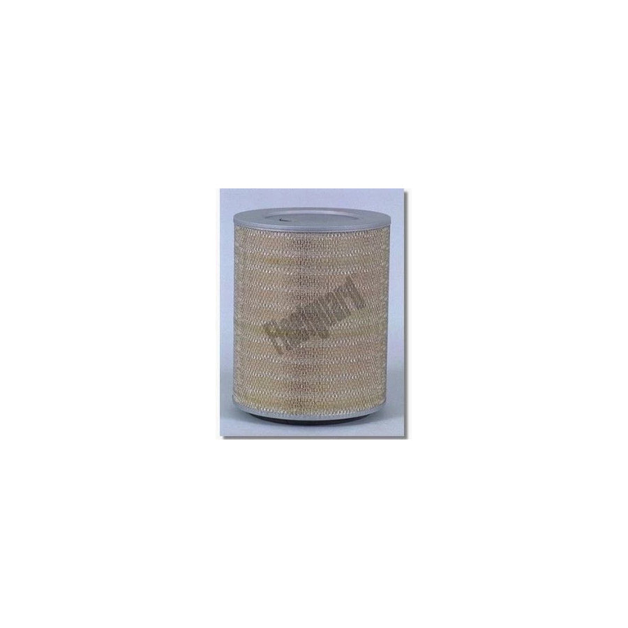 Fleetguard Af25066 Air Filter