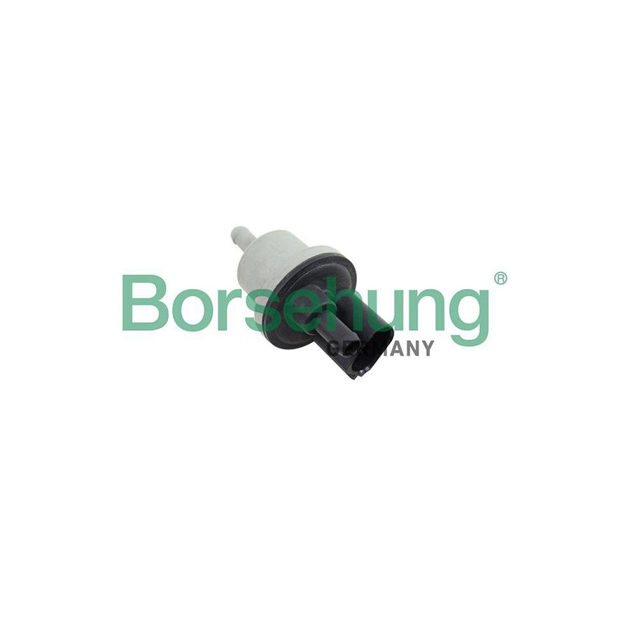 Borsehung B12188 Valve, Activated Carbon Filter