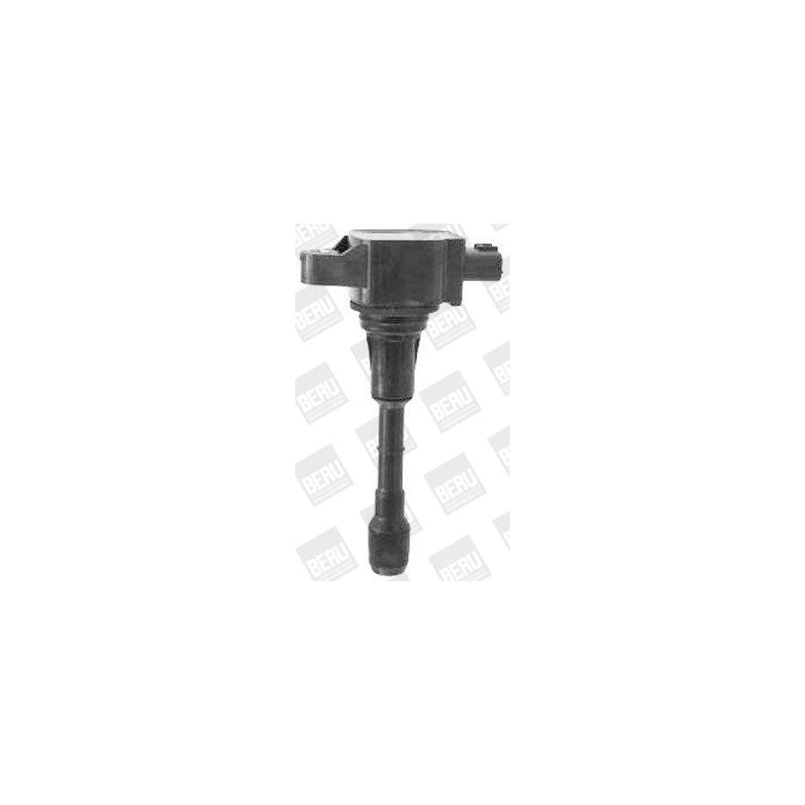 Beru Le067 Fan, Radiator for VW Transporter