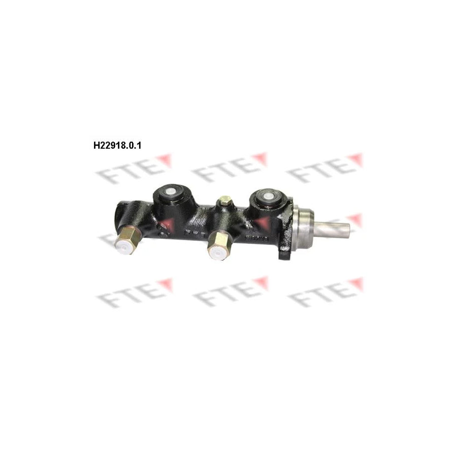 FTE 9220004 Brake Master Cylinder Suitable for Mercedes-Benz T2