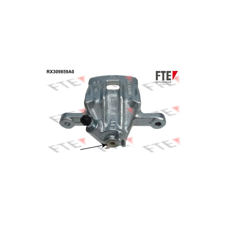 FTE Rx309859A0 Brake Caliper