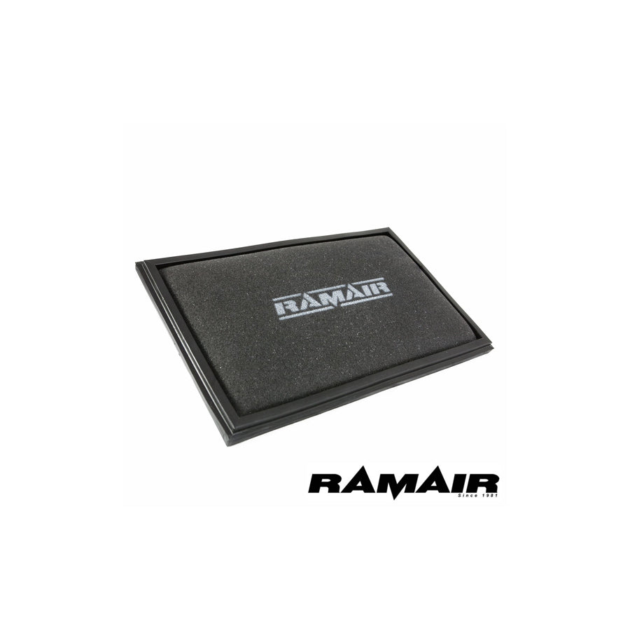 RAMAIR RPF-1970 VOLKSWAGEN TRANSPORTER/BUS (T5) 2 (05/03 -) PANEL FILTERS