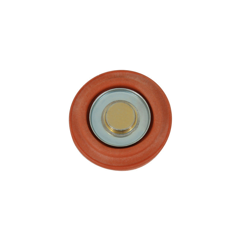 AEM Universal Fuel Pressure Regulator Rebuild Kit
