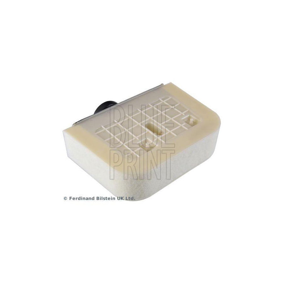 Blue Print Adbp220030 Air Filter