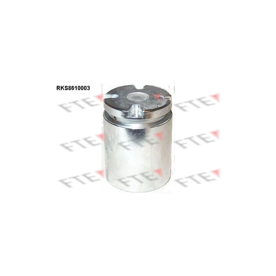 FTE Rks8610003 Piston, Brake Caliper