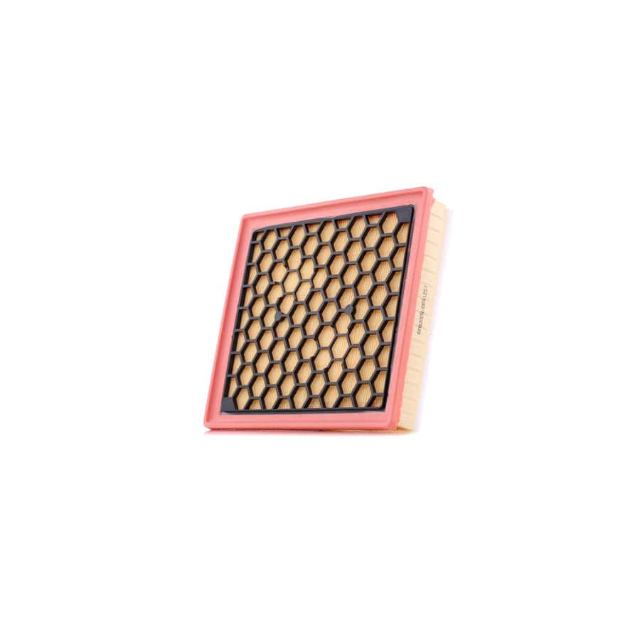 Ridex 8A0261 Air Filter