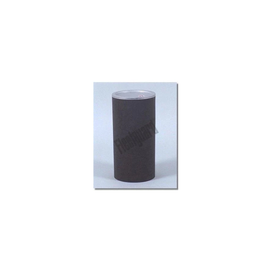 Fleetguard Af25061 Air Filter