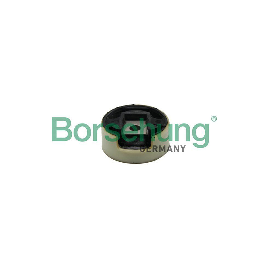 Borsehung B19108 Engine Mount for VW Passat