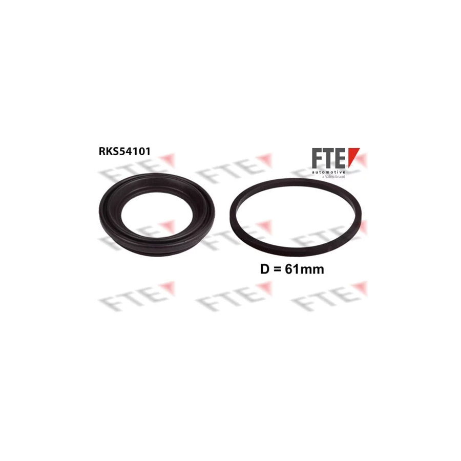 FTE Rks54101 Gasket Set, Brake Caliper
