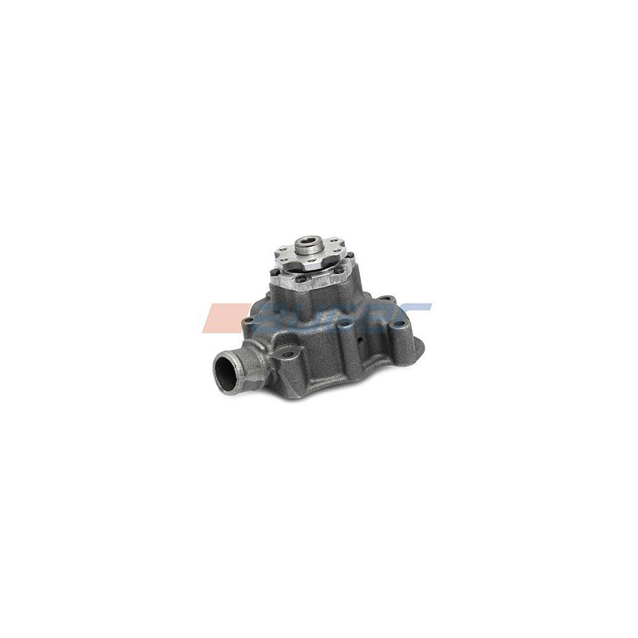 Auger 74425 Water Pump