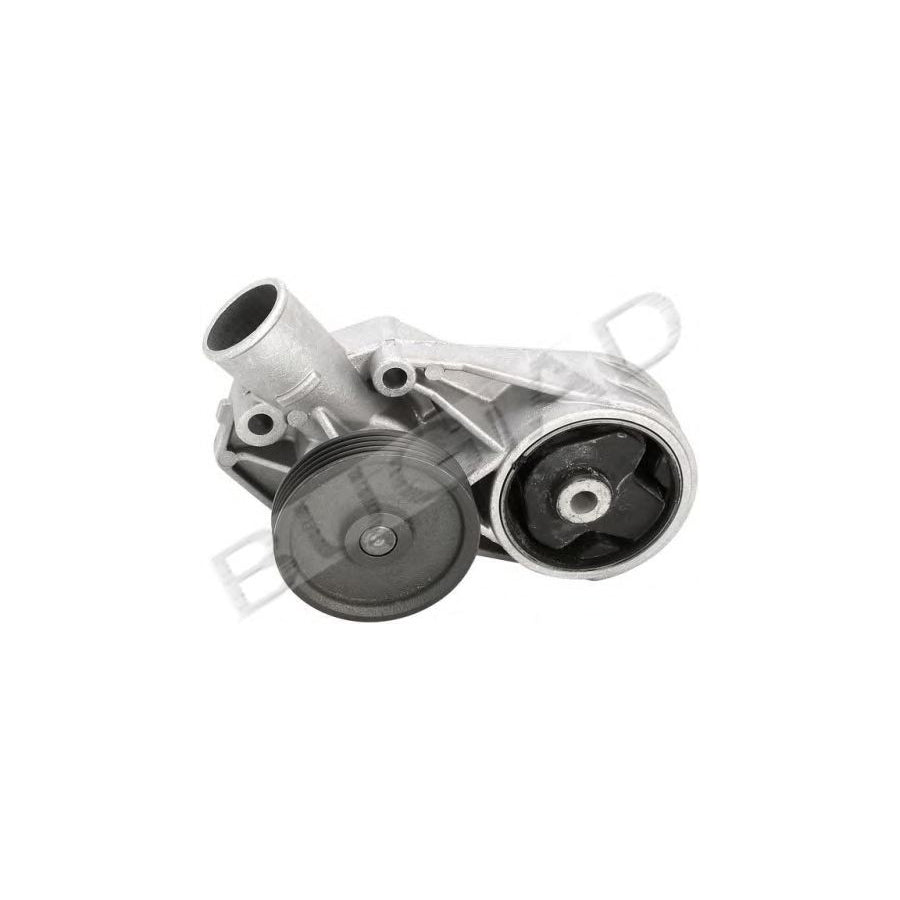 BUGIAD Bsp22095 Water Pump for Skoda Felicia