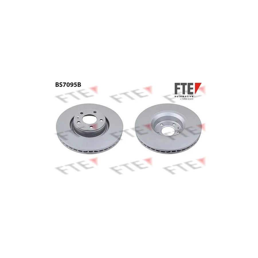 FTE Bs7095B Brake Disc
