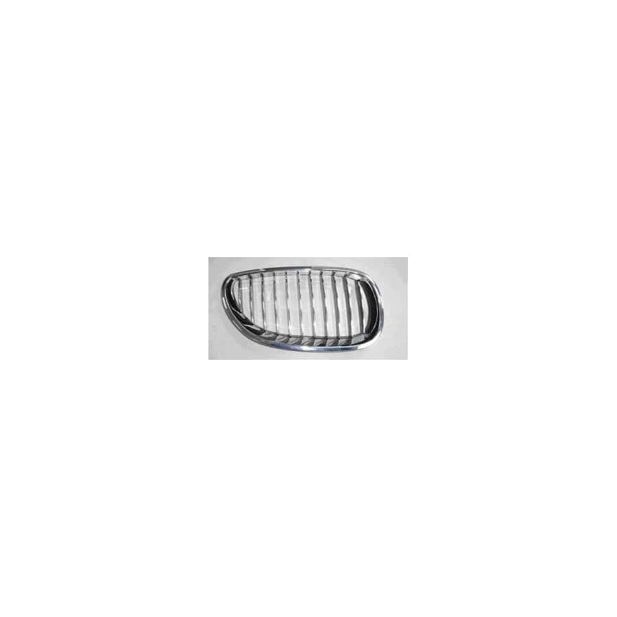 Abakus 00416406 Radiator Grille for BMW 5 Saloon (E60)