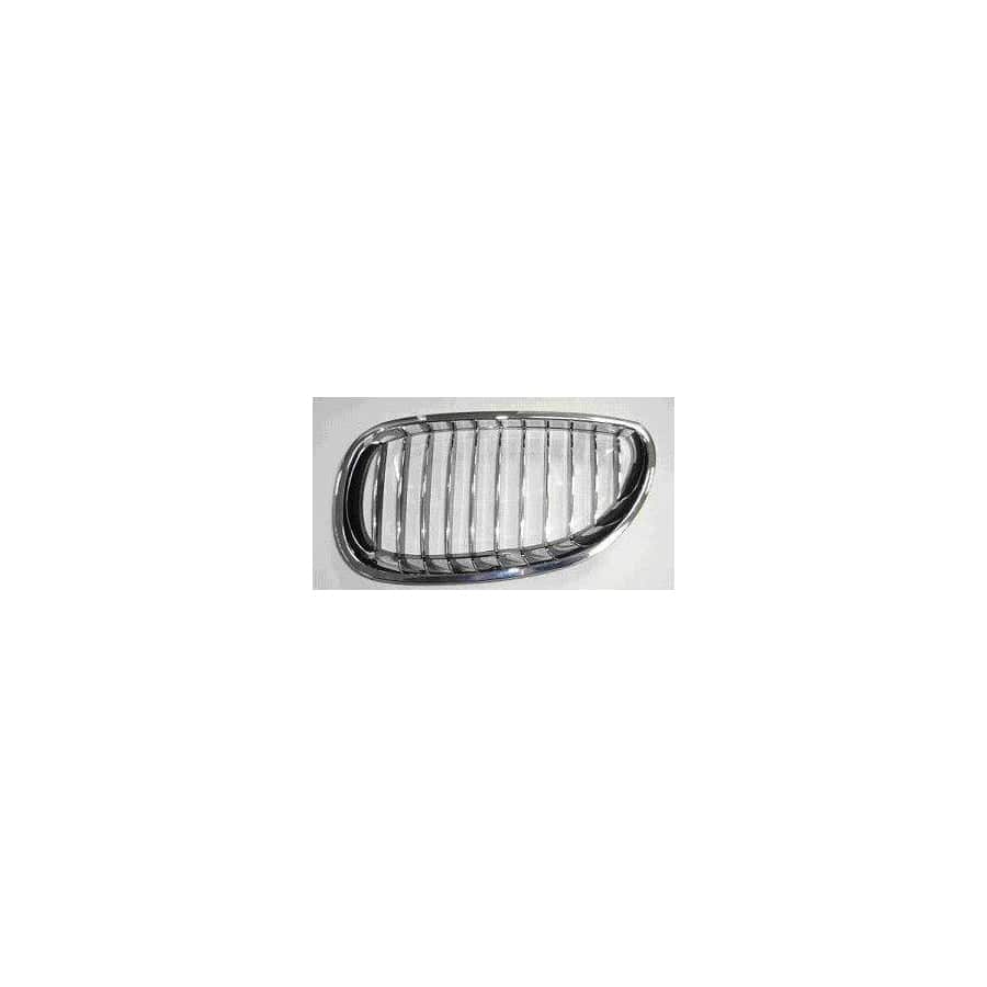 Abakus 00416405 Radiator Grille for BMW 5 Saloon (E60)