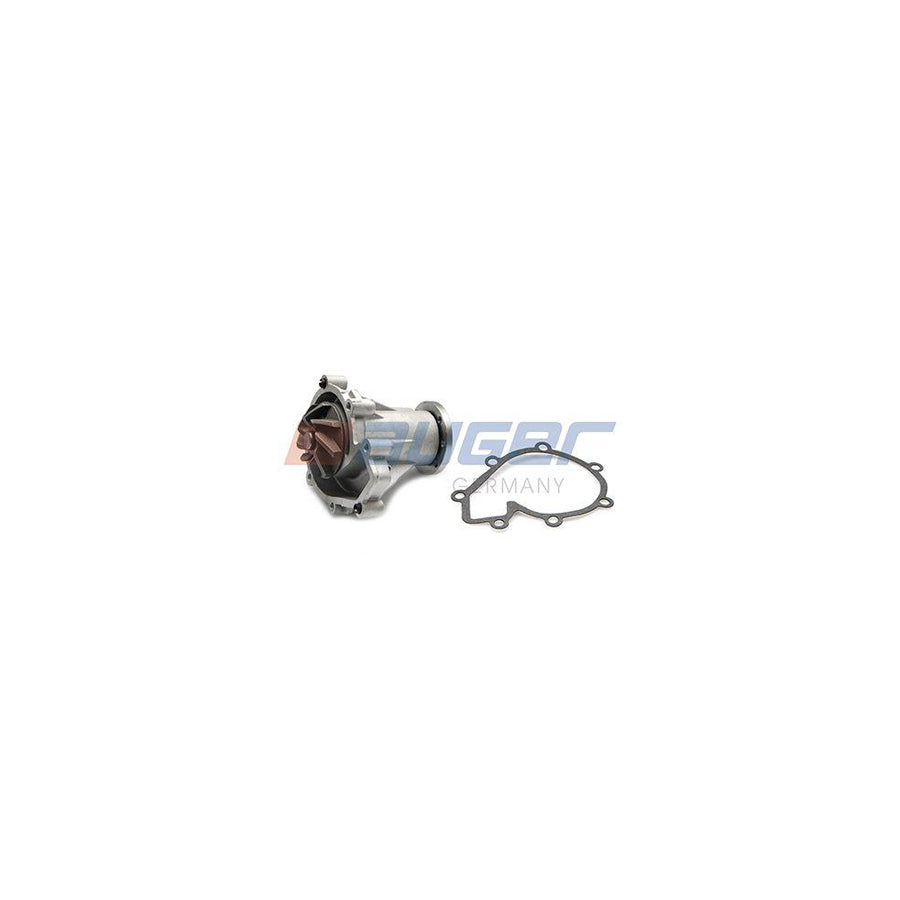 Auger 74423 Water Pump