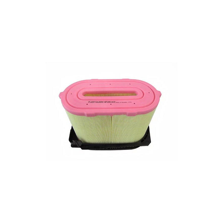 Fleetguard Af25163 Air Filter