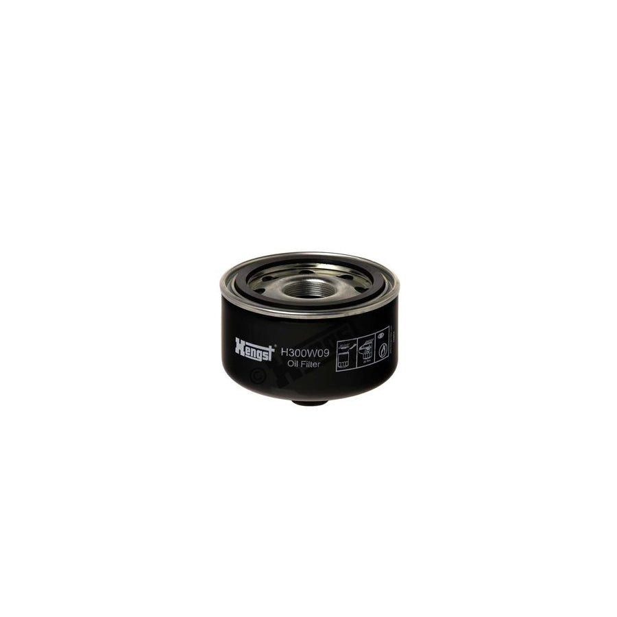 Hengst Filter H300W09 Oil Filter For VW Lt