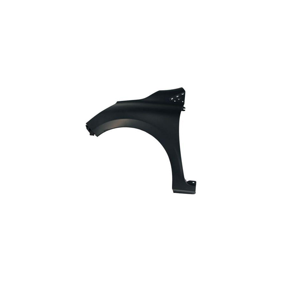 Blic 6504-04-6034311P Wing Fender For Renault Clio