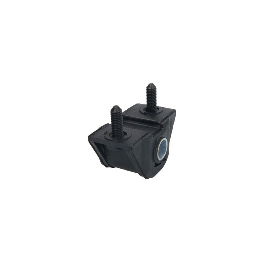 Reinhoch Rh142066 Control Arm / Trailing Arm Bush