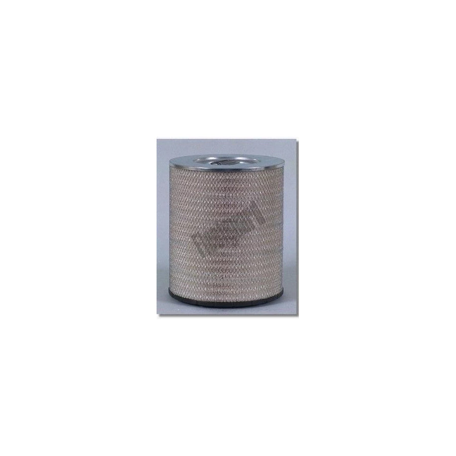 Fleetguard Af25139M Air Filter