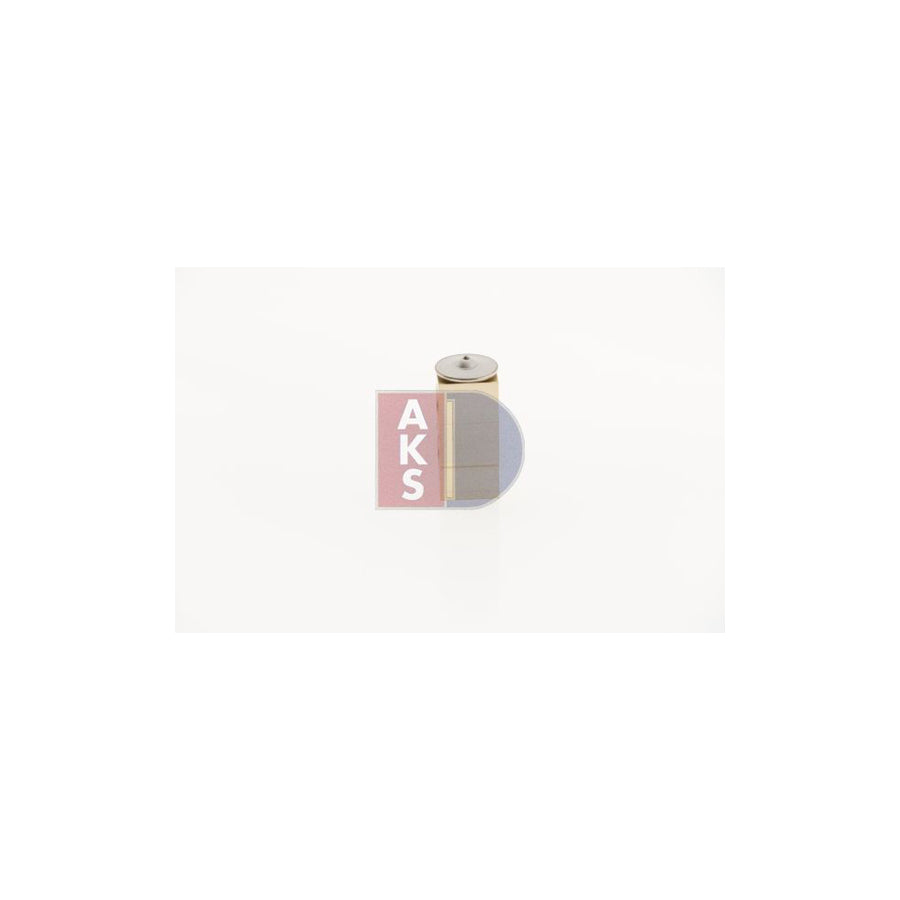 AKS Dasis 840018N AC Expansion Valve