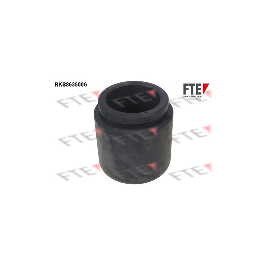FTE 9313314 Piston, Brake Caliper