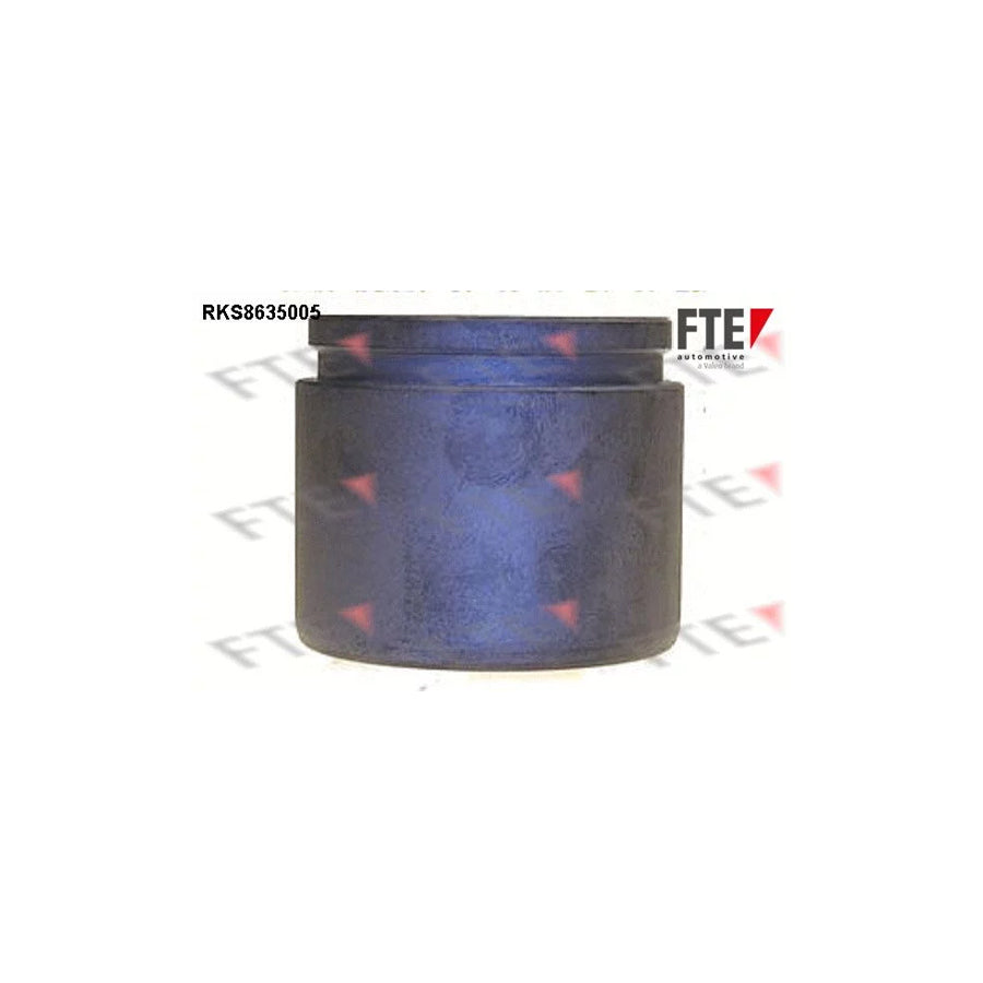 FTE 9313313 Piston, Brake Caliper