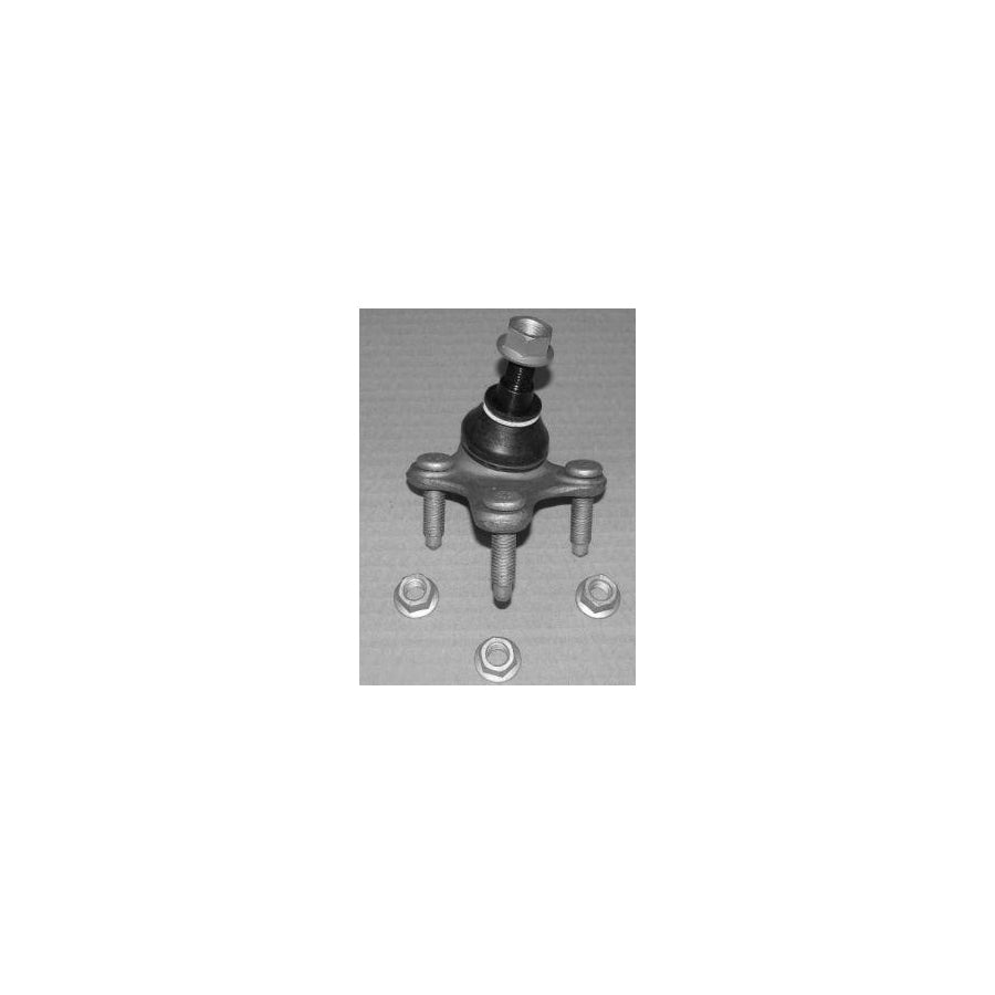 BUGIAD Bsp20523 Ball Joint