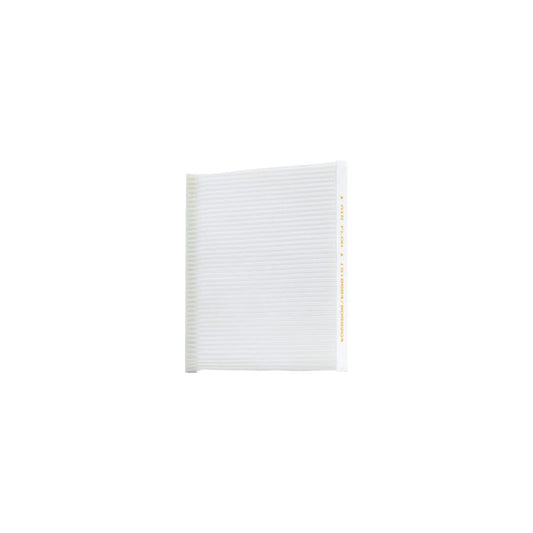 Ackoja A55-30-0001 Pollen Filter | ML Performance US