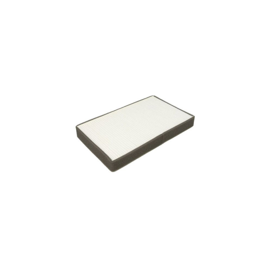 JC Premium B43013PR Pollen Filter