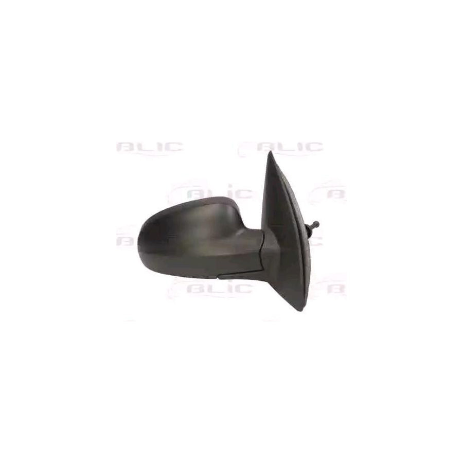 Blic 5402-56-005362P Wing Mirror