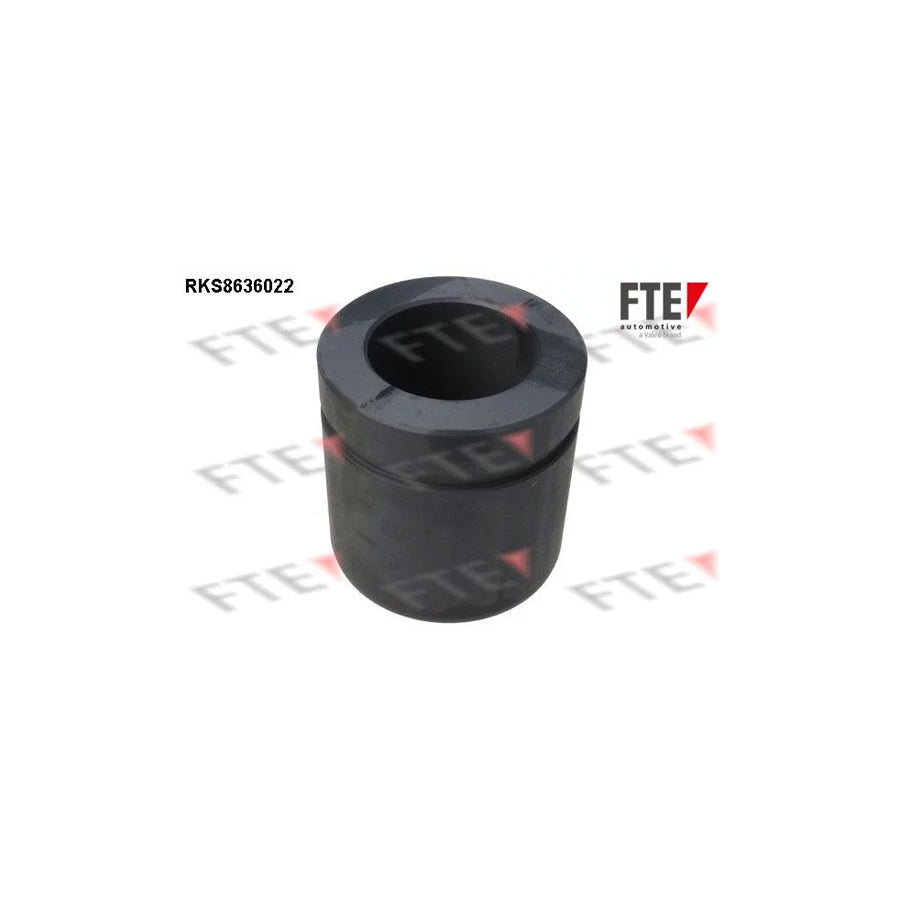 FTE 9313337 Piston, Brake Caliper