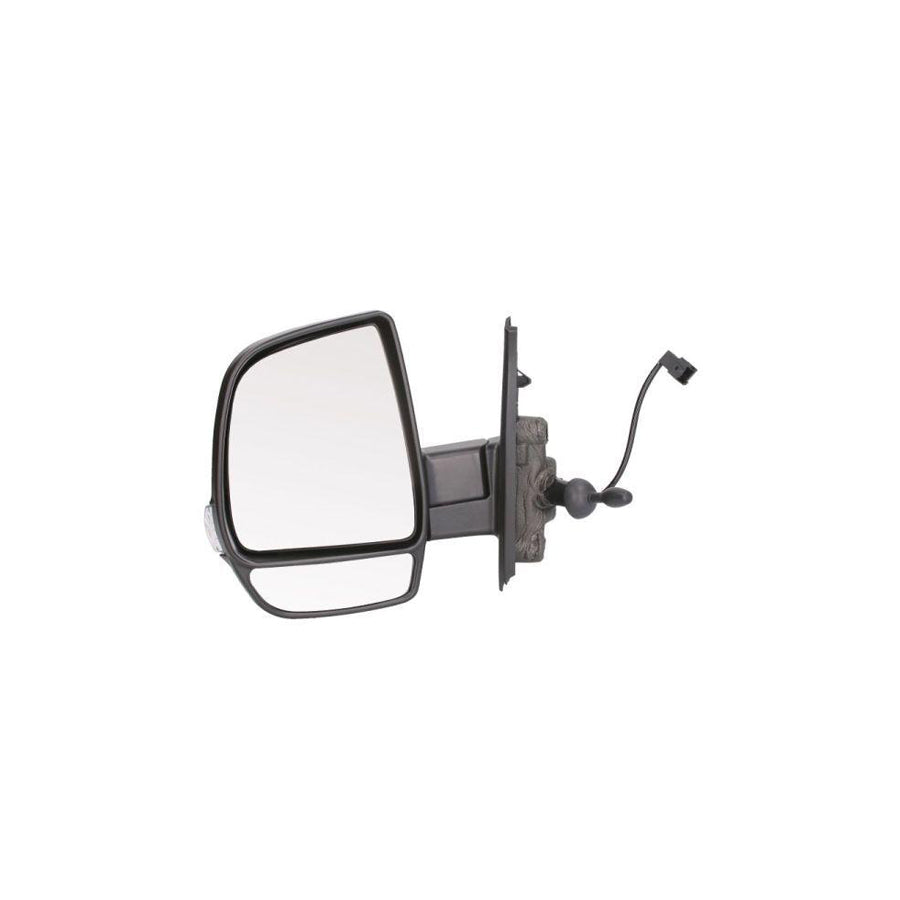 Blic 5402-07-2002819P Wing Mirror