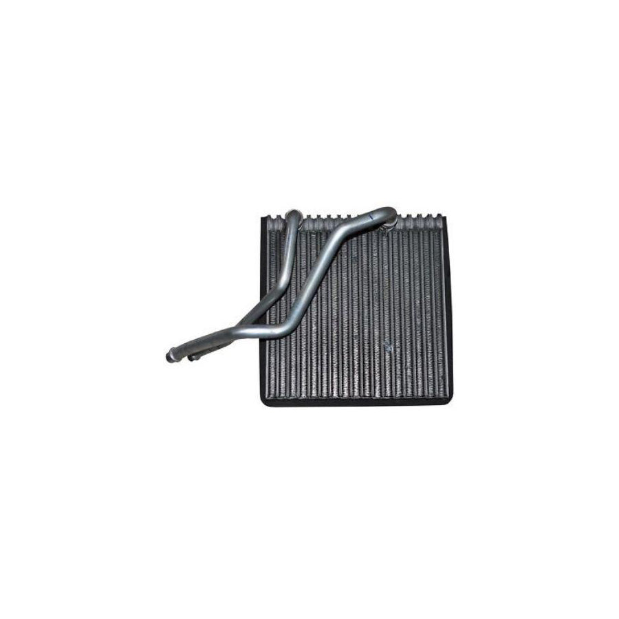 BUGIAD Bsp20546 Air Conditioning Evaporator for Skoda Octavia