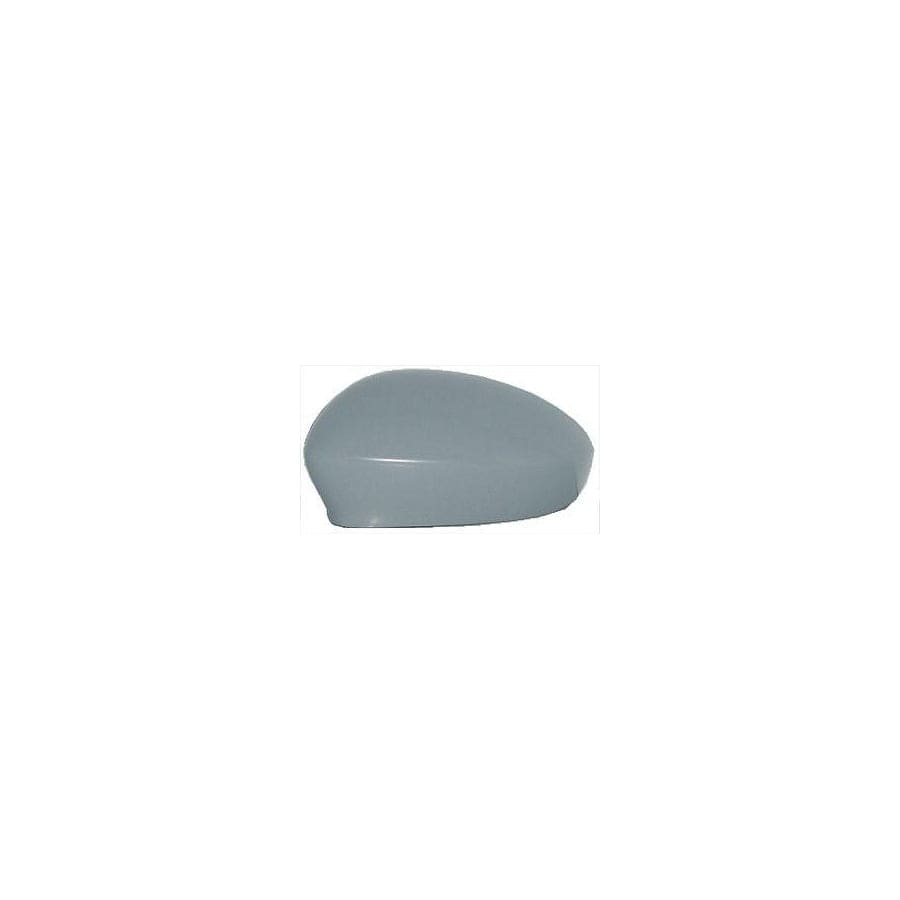 Abakus 1113C03 Cover, Outside Mirror